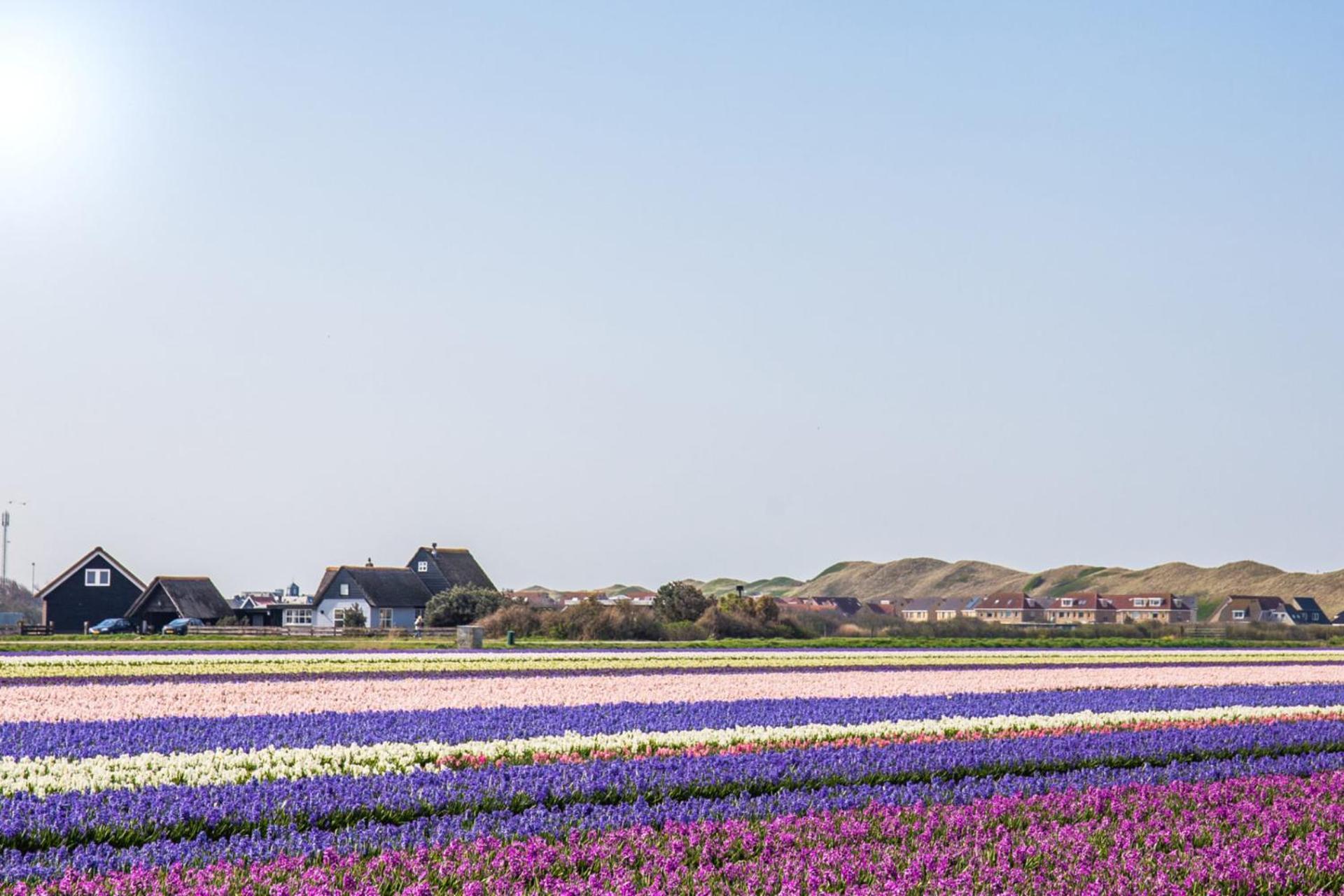 Vakantiehuis Zilt - Julianadorp Aan Zee Kültér fotó